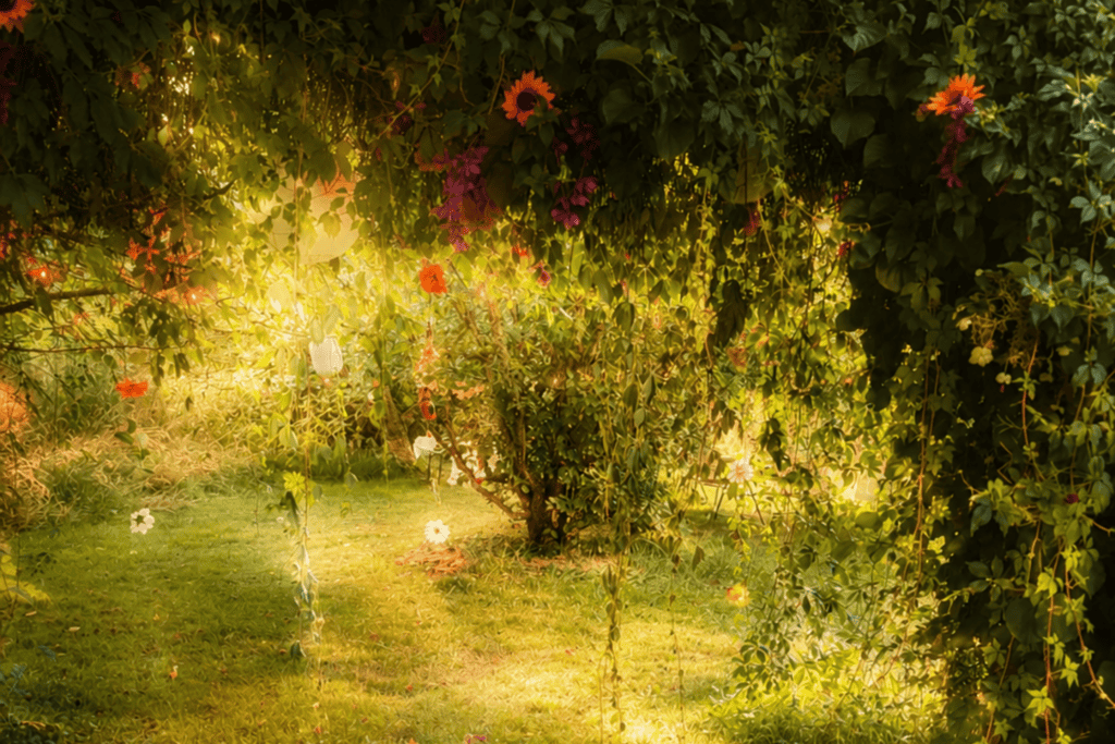 Sunlight streaming through the green trees and foliage of a lush summer garden
